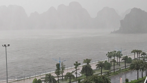 Bão số 4 giật cấp 10, Quảng Ninh và Hải Phòng mưa to