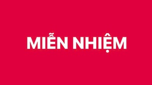 Phê chuẩn miễn nhiệm Phó Chủ tịch UBND thành phố Đà Nẵng