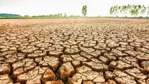 Chủ động ứng phó trước nguy cơ El Nino cường độ mạnh