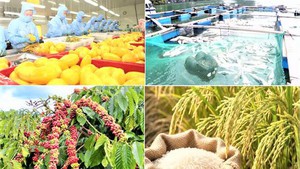 Tháo gỡ khó khăn vướng mắc để thúc đẩy xuất khẩu nông lâm thủy sản