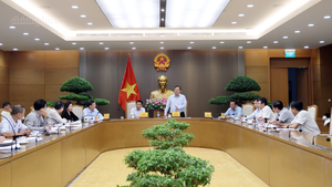 Rà soát đầu tư, hoàn thiện các tuyến đường bộ cao tốc quy mô phân kỳ