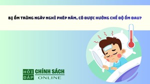Bị ốm trùng ngày nghỉ phép năm, có được chế độ ốm đau?