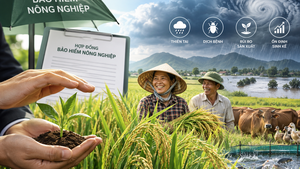Tăng mức hỗ trợ phí bảo hiểm cho người sản xuất nông nghiệp