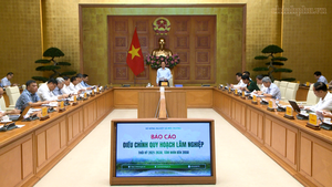Quy hoạch lâm nghiệp phải bảo đảm ba mục tiêu cốt lõi