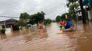 Mưa lớn gây thiệt hại hơn 1.000 ha lúa, hoa màu, gần 1.000 hộ dân phải sơ tán