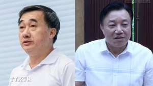 Thi hành kỷ luật đảng viên vi phạm