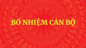 Phê chuẩn kết quả bầu, miễn nhiệm Phó Chủ tịch UBND tỉnh Tây Ninh