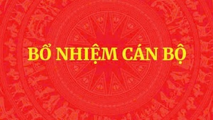 Công bố 12 Quyết định của Bộ Chính trị, Ban Bí thư về công tác cán bộ