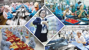 Quản lý nguồn thu từ cơ cấu lại doanh nghiệp, đơn vị sự nghiệp công lập