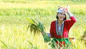 Đề xuất chính sách phát triển kinh tế nông thôn và đa dạng hóa sinh kế