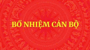 Ông Vương Quốc Tuấn giữ chức Bí thư Tỉnh ủy Quảng Trị
