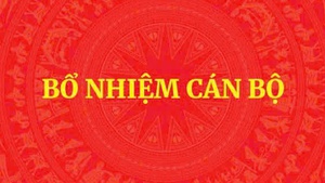 Ông Bùi Hoàng Phương được giới thiệu để bầu làm Chủ tịch UBND tỉnh Quảng Trị