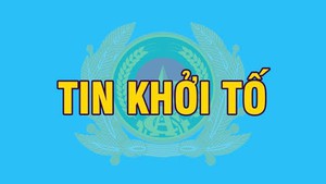 Triệt phá đường dây sản xuất, buôn bán thuốc An Cung 