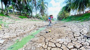 Chủ động ứng phó nguy cơ thiếu nước do ảnh hưởng của El Nino