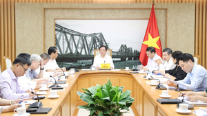 Luật Đất đai (sửa đổi): Tập trung quy định nguyên tắc chung, mang tính cốt lõi