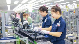 Quy định mới về tuyển dụng người Việt Nam làm việc cho tổ chức nước ngoài tại Việt Nam
