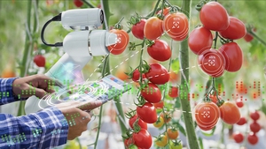Khoa học công nghệ nâng cao giá trị sản phẩm nông nghiệp