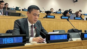 Viet Nam calls for joint efforts to promote sustainable development