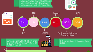 Infographics: Socio-economic performance in January-November period