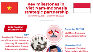 INFOGRAPHICS: Key milestones in Viet Nam-Indonesia strategic partnership