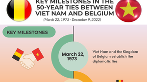 Impetus for Viet Nam-Belgium warm relations