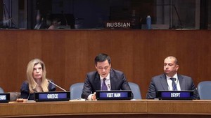 Viet Nam co-chairs workshop on 40th anniversary of UNCLOS
