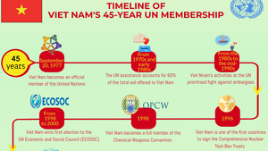 INFOGRAPHICS: Timeline of Viet Nam's 45-year UN membership  