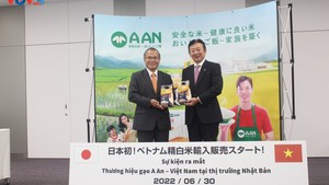 Viet Nam&#39;s premium rice penetrates into Japanese market