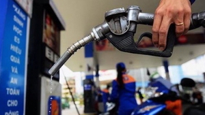 Gov’t proposes further environmental protection tax cut on gasoline