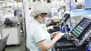 Viet Nam emerges as potential investment destination for German companies