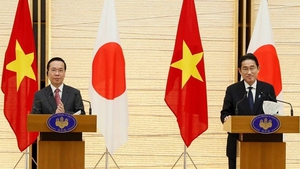 Viet Nam, Japan elevate ties to comprehensive strategic partnership
