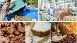 Farm product exports gross US$20.26 billion in five months