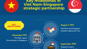 INFOGRAPHICS: Key milestones in Viet Nam-Singapore 
strategic partnership