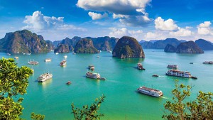 Ha Long Bay-Cat Ba Archipelago becomes world natural heritage