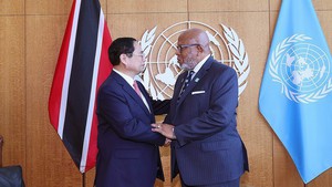 Viet Nam determined to realize SDGs, respond to climate change: Prime Minister