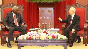 Viet Nam treasures special traditional solidarity with Cuba: Party chief