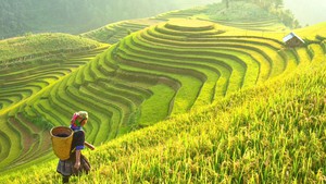 New visa policy makes Viet Nam an accessible destination for global visitors