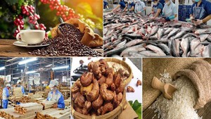 Agro-forestry-fisheries sector enjoys trade surplus of over US$8 bln