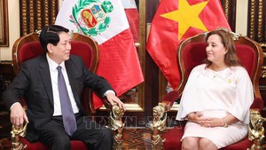 Vietnamese, Peruvian Presidents hold talks in Lima