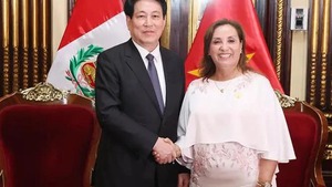 Viet Nam, Peru issue Joint Declaration