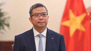 Viet Nam is proactive in taking on global responsibilities: Deputy FM