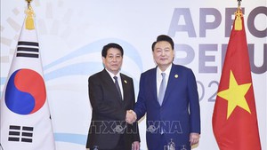 President Luong Cuong meets South Korean counterpart in Lima