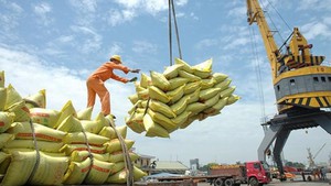 Rice export turnover sets new record high