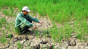 Climate change impact in rural Viet Nam - science must lead change