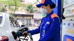 Finance ministry proposes extending environmental tax cut on fuel products in 2025