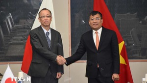 Viet Nam, Japan hold 8th Strategic Partnership Dialogue in Tokyo