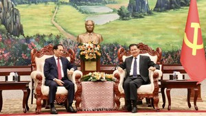 Deputy Prime Minister pays courtesy calls on top Lao leaders