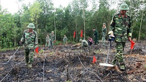 Japan provides mine detection equipment worth &#165;500 million for Viet Nam