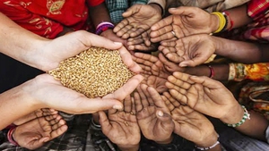 FOOD SECURITY: Action is what we need