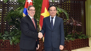 Deputy PM meets Cuban Minister of Foreign Affairs